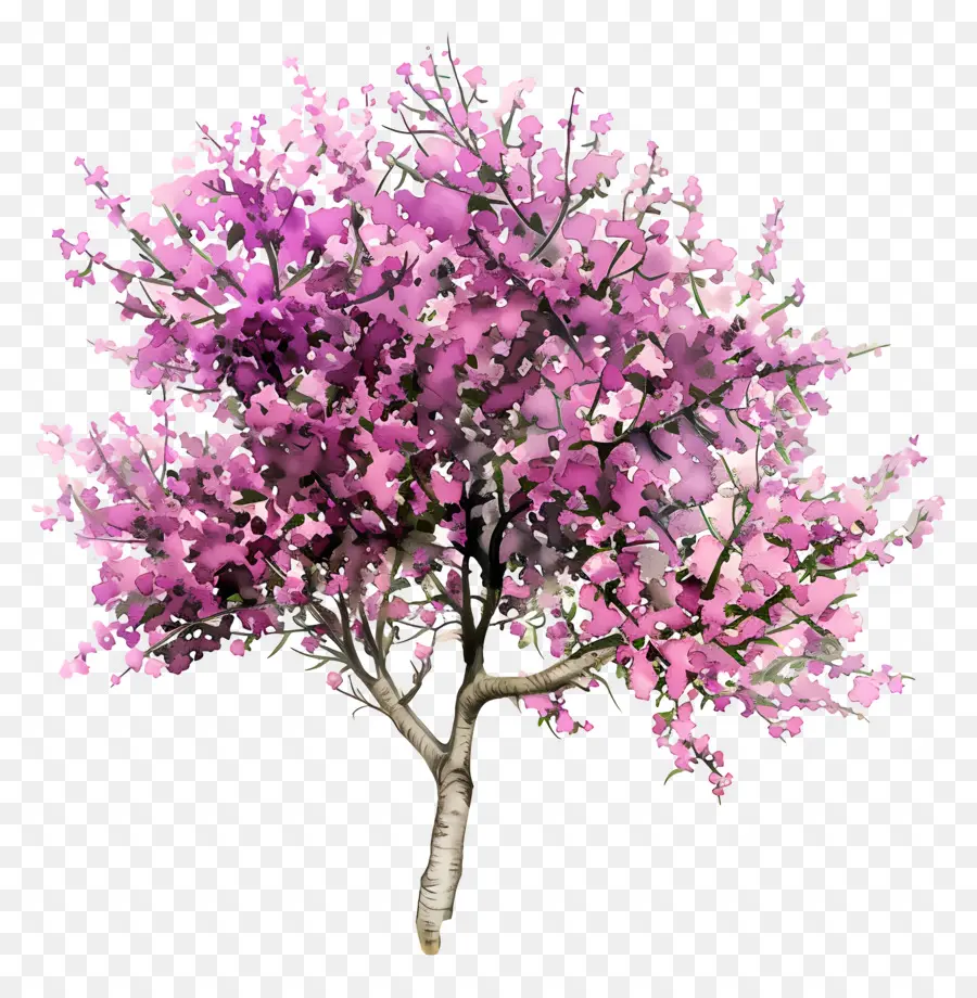 คนทรยศชาติชั่นต้นไม้，Flowering ต้นไม้ PNG