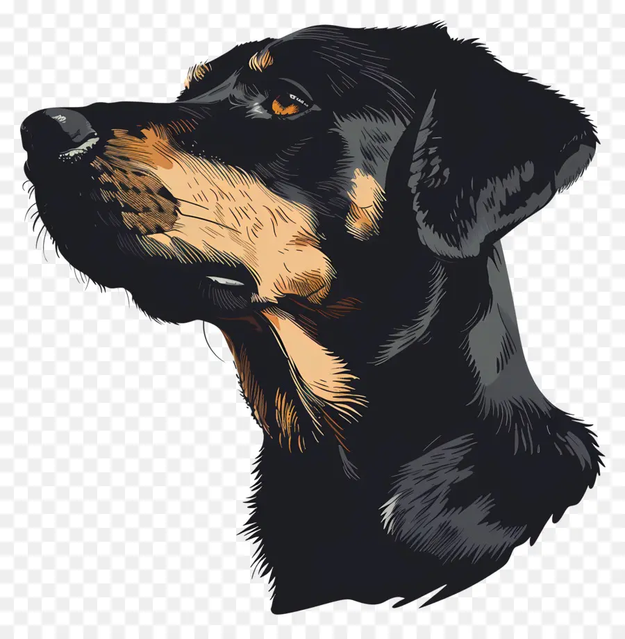 หมา，Rottweiler PNG