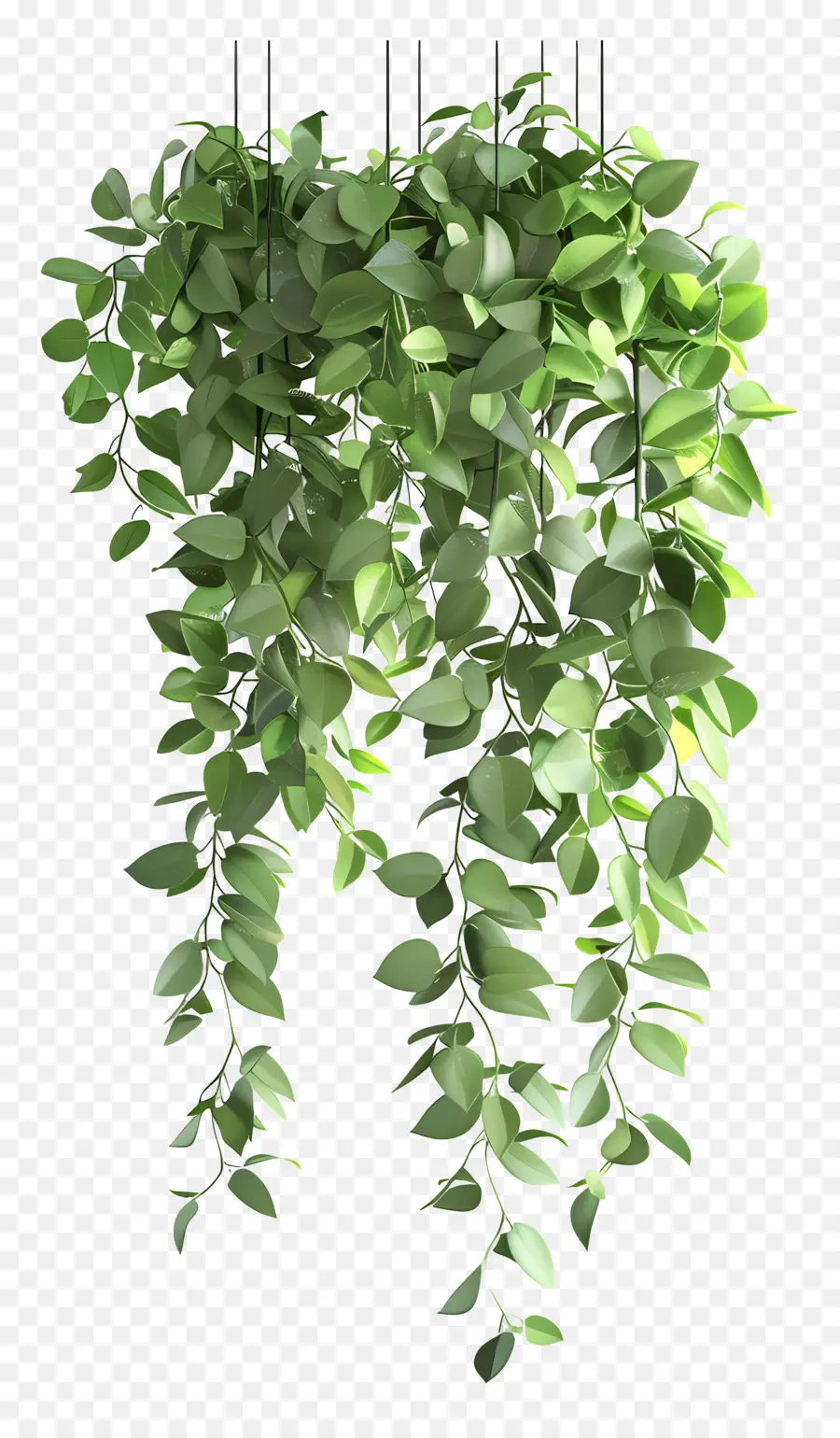 แขวนต้นไม้，ใบไม้สีเขียว PNG