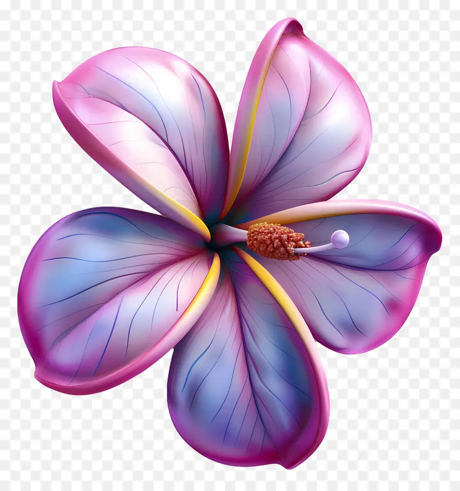 ดอกไม้ของท้อง，ดอกไม้สีชมพู PNG