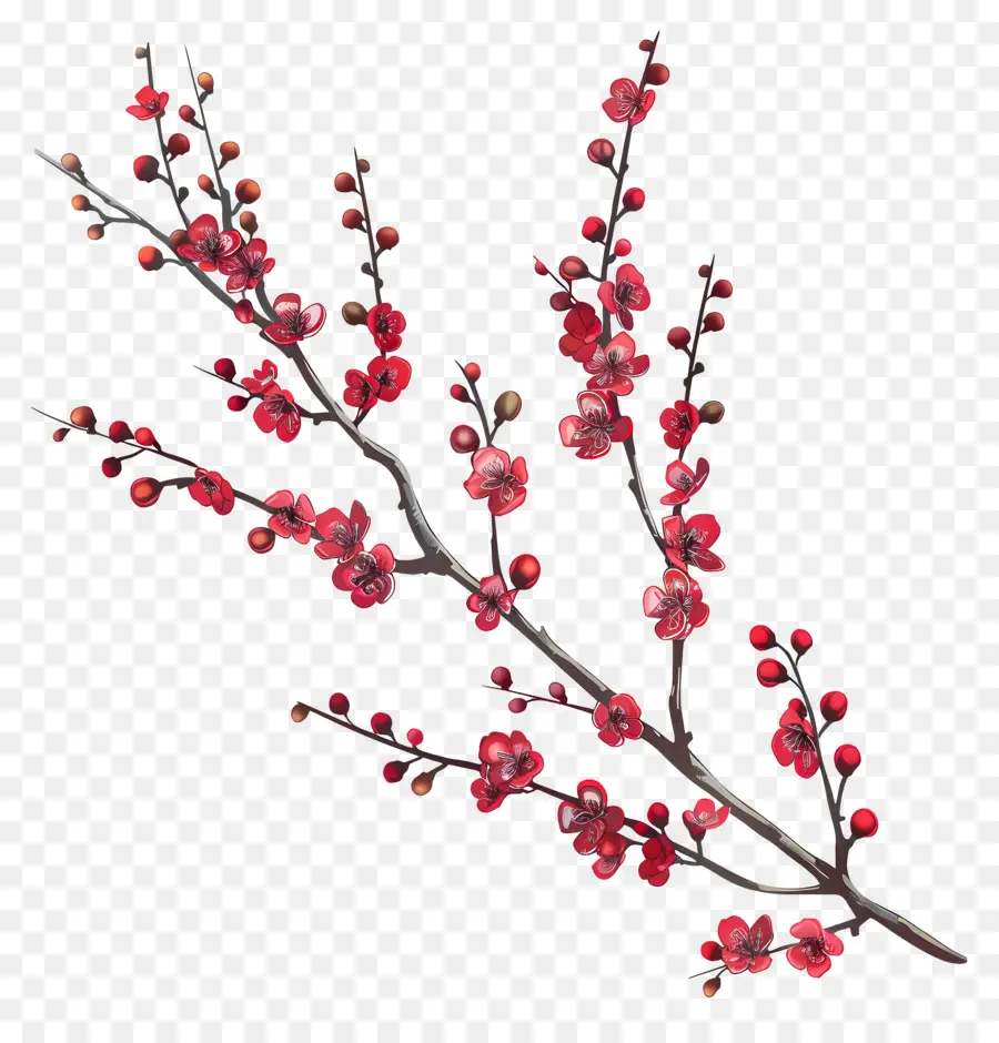 เล็กๆสีแดงดอกไม้，เชอร์รี่ Blossom PNG