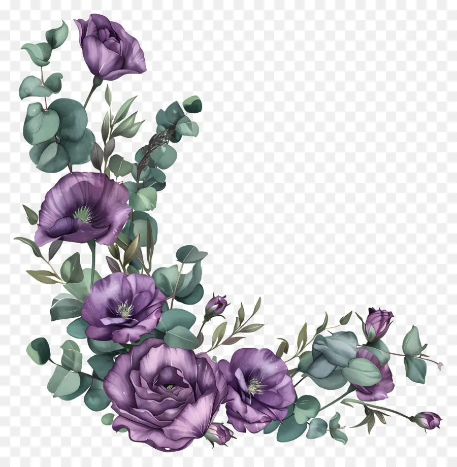 ดอกยูสโตมา，ดอกไม้สีม่วง PNG