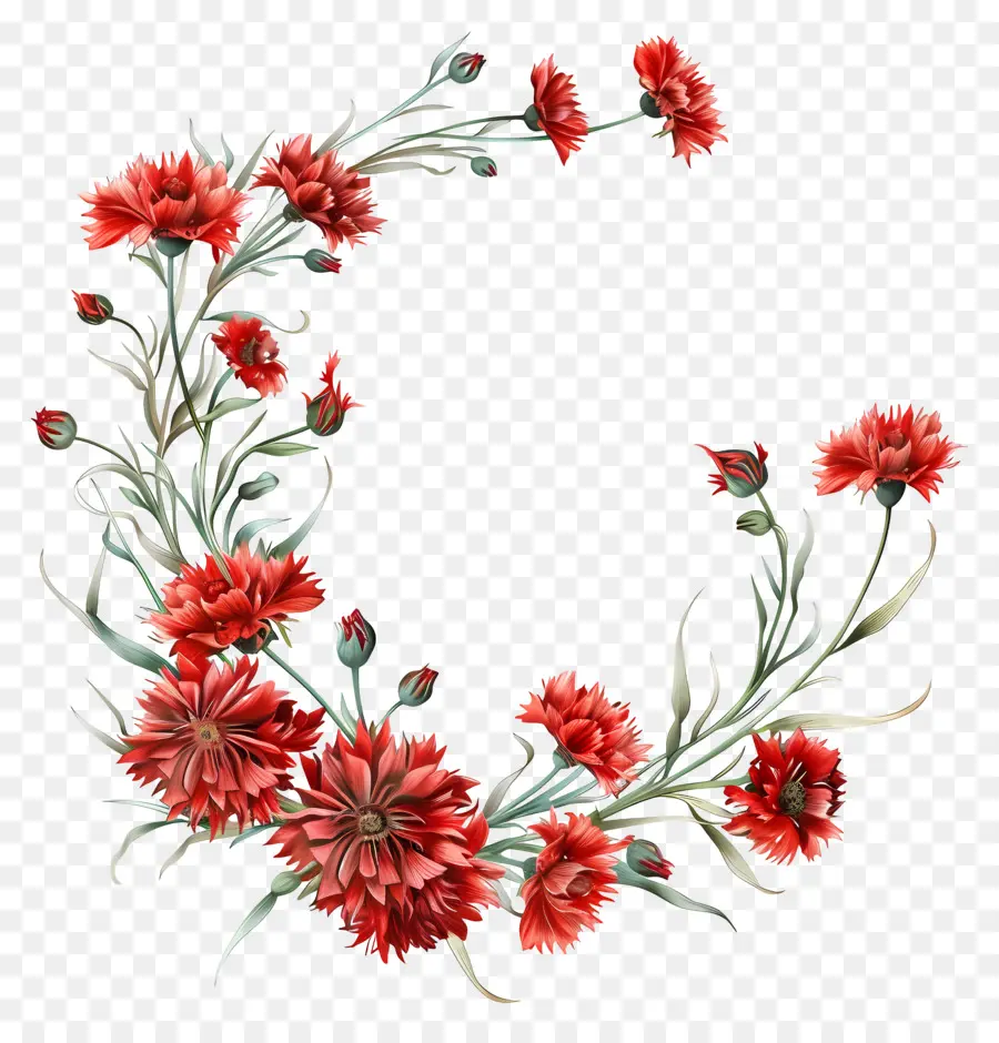 ดอกไม้ข้าวโพดแดง，สีแดงมันทับดอกคาร์เนชั่น PNG