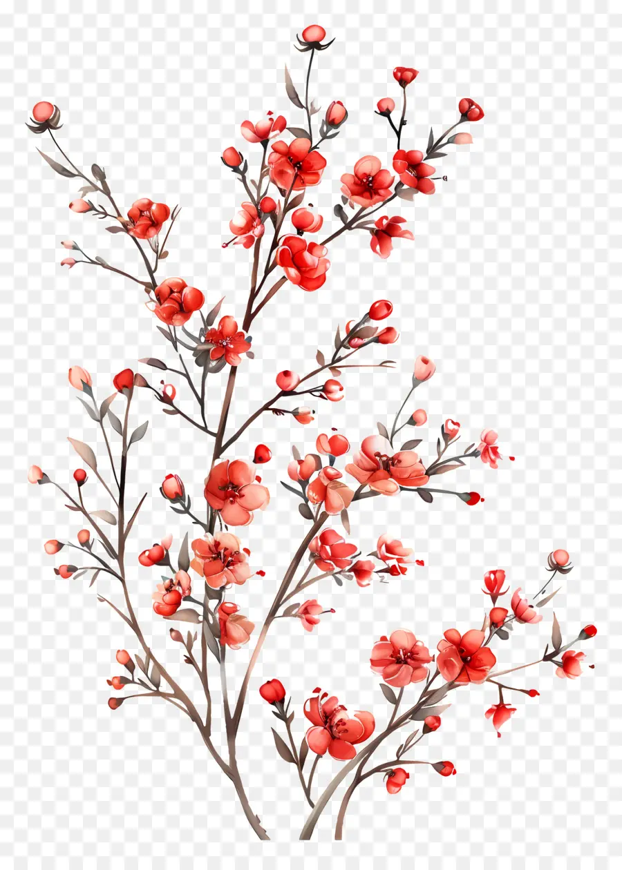 เล็กๆสีแดงดอกไม้，สีวาดรูป PNG