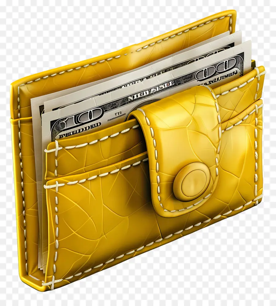 กระเป๋าคุมข้อมูลกับเงิน，กระเป๋าคุมข้อมูล PNG