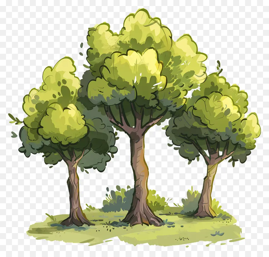 ป่าต้นไม้，ต้นไม้ PNG