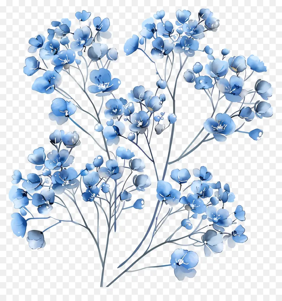 ดอกไม้ลมหายใจ，สีน้ำเงินดอกไม้ PNG
