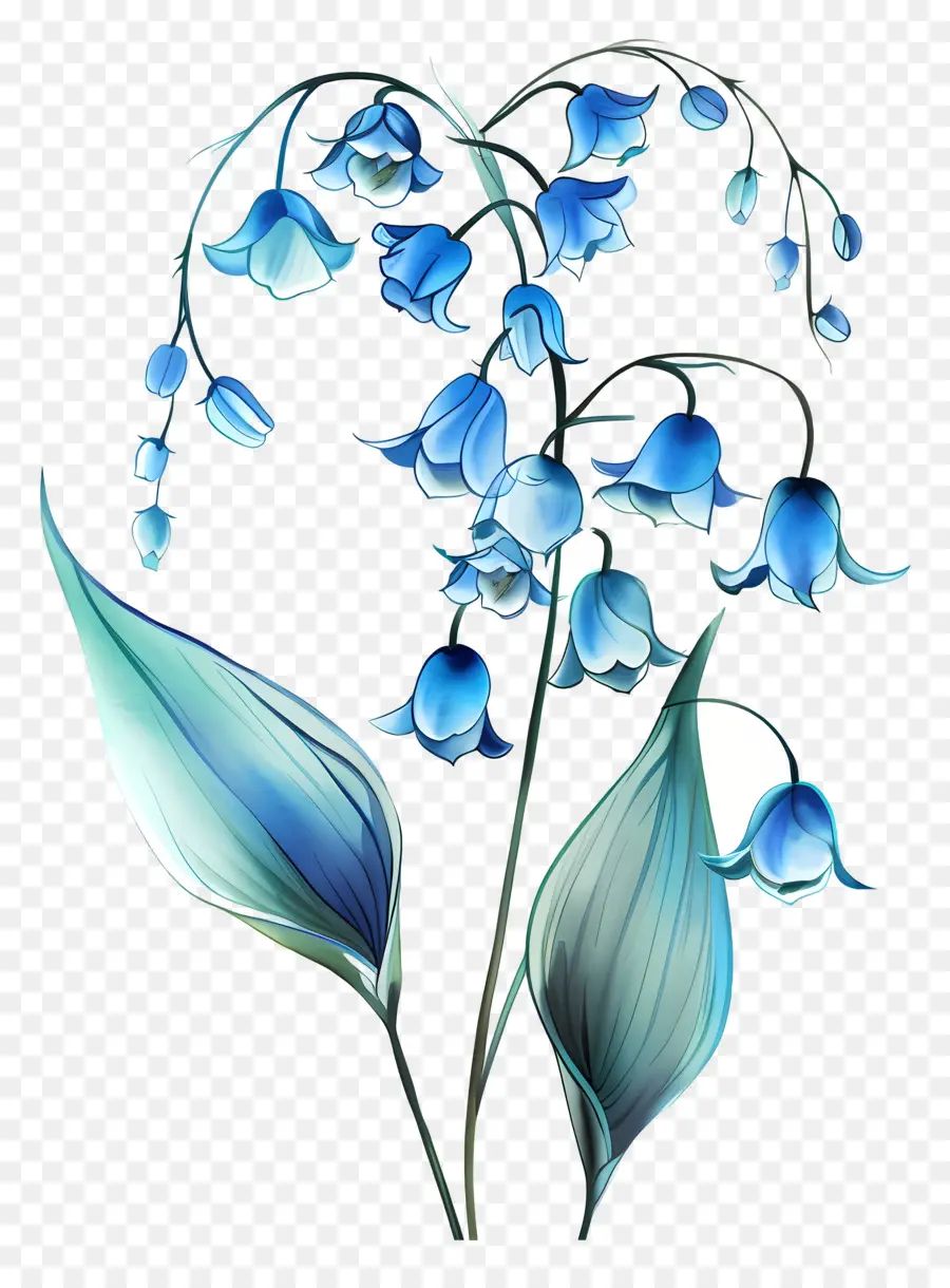 Blue Lily Of The Valley，ดอกไม้ช่อดอกไม้ PNG