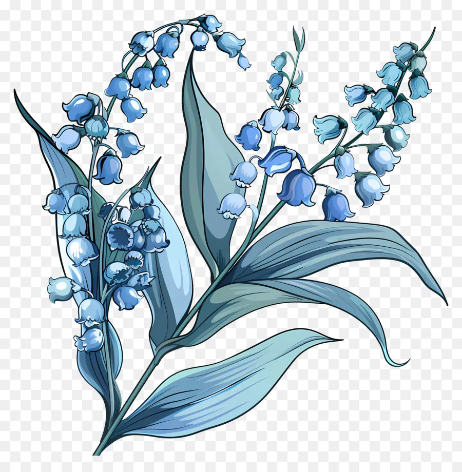 Blue Lily Of The Valley，สีวาดรูป PNG