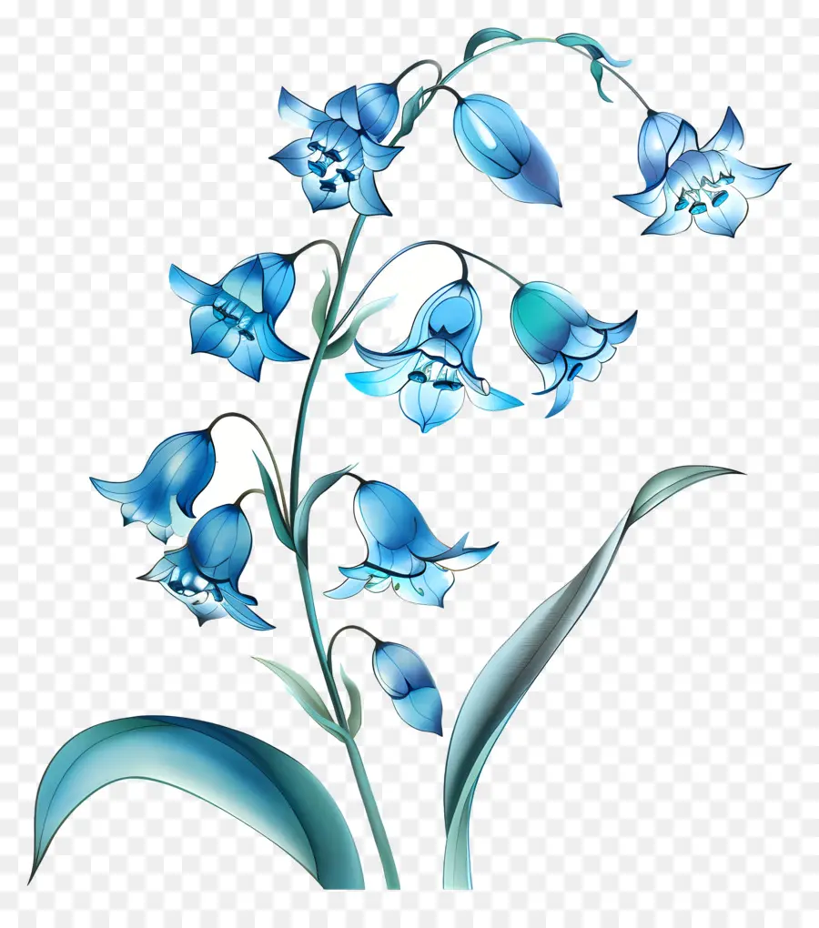 Blue Lily Of The Valley，ดอกไม้สีฟ้า PNG