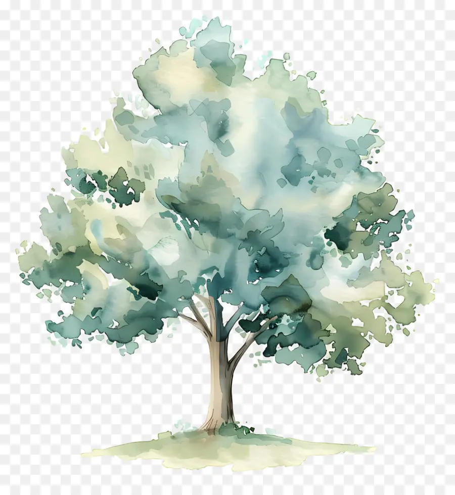แผนต้นไม้สีน้ำ，สีวาดรูป PNG