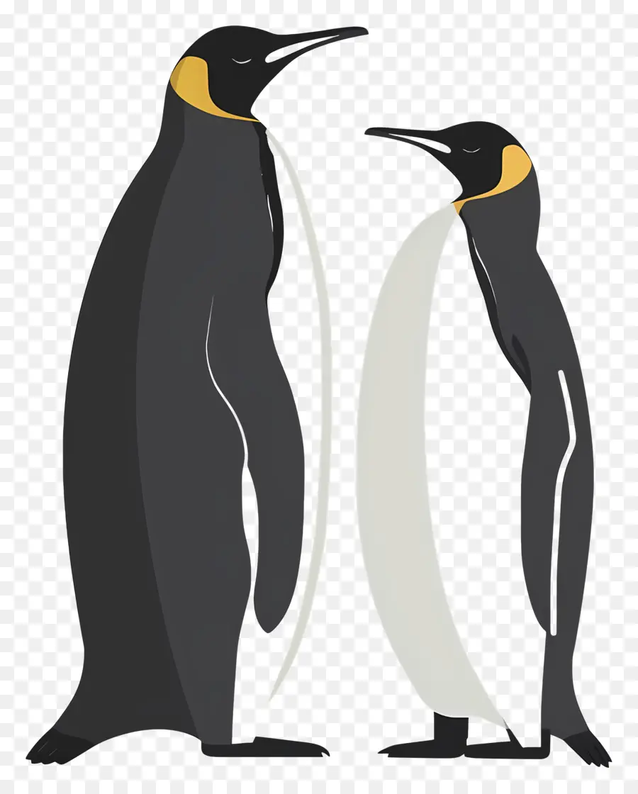 Name=เพนกวิน Name，แจ็คเก็ตสีดำ PNG