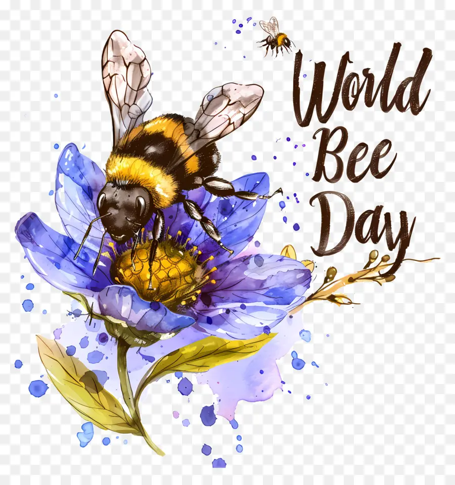 โลกผึ้งต่อวัน，ผึ้งต่อวัน PNG