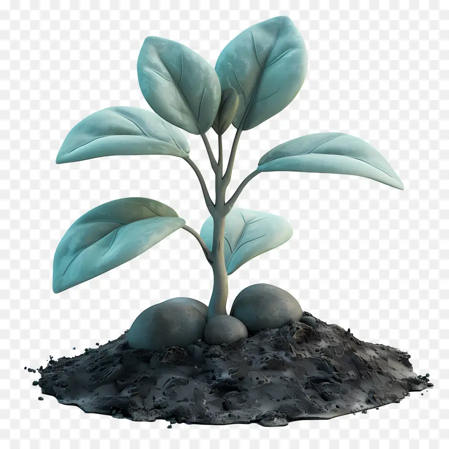 ดิน，ต้นไม้เติบโต PNG