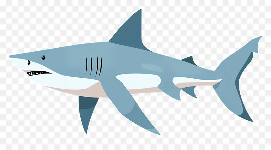 ฉลาม，ล่า PNG