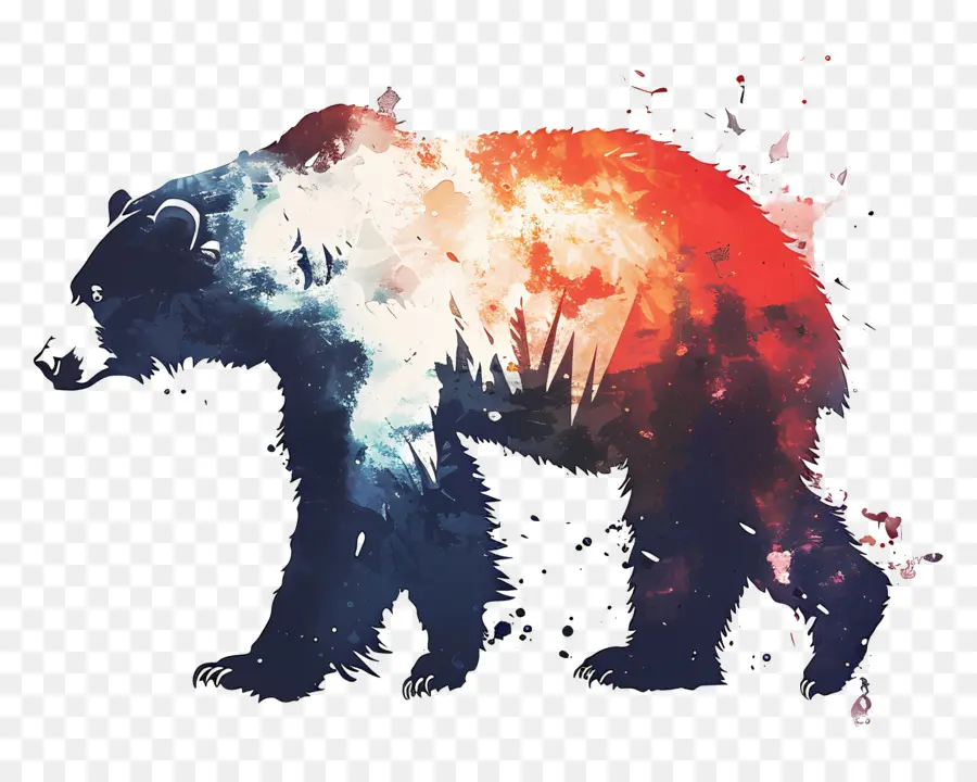 หมี，ป่า PNG