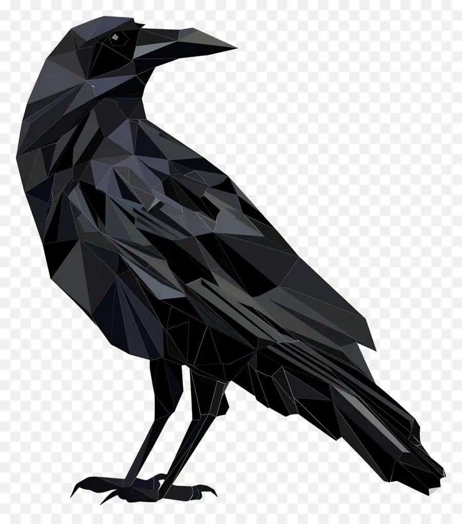 อีกา，สีดำขนนกปลิวว่อ PNG