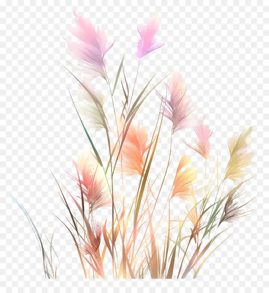 หญ้าดอกไม้，สีวาดรูป PNG