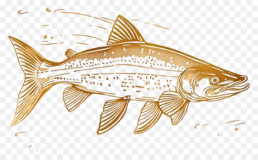 ไพค์ปลา，สีน้ำตาล Trout PNG