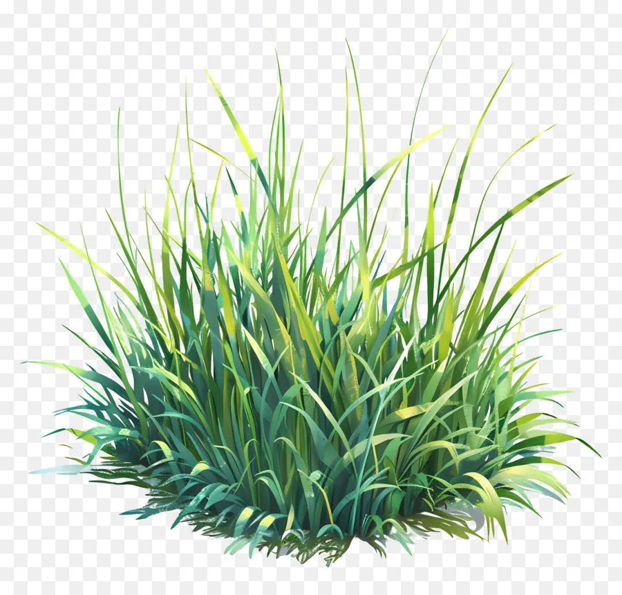 หญ้าสีเขียว，ต้นไม้เขียว PNG