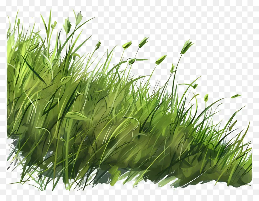 แผ่นดินหญ้า，หญ้าสีเขียว PNG