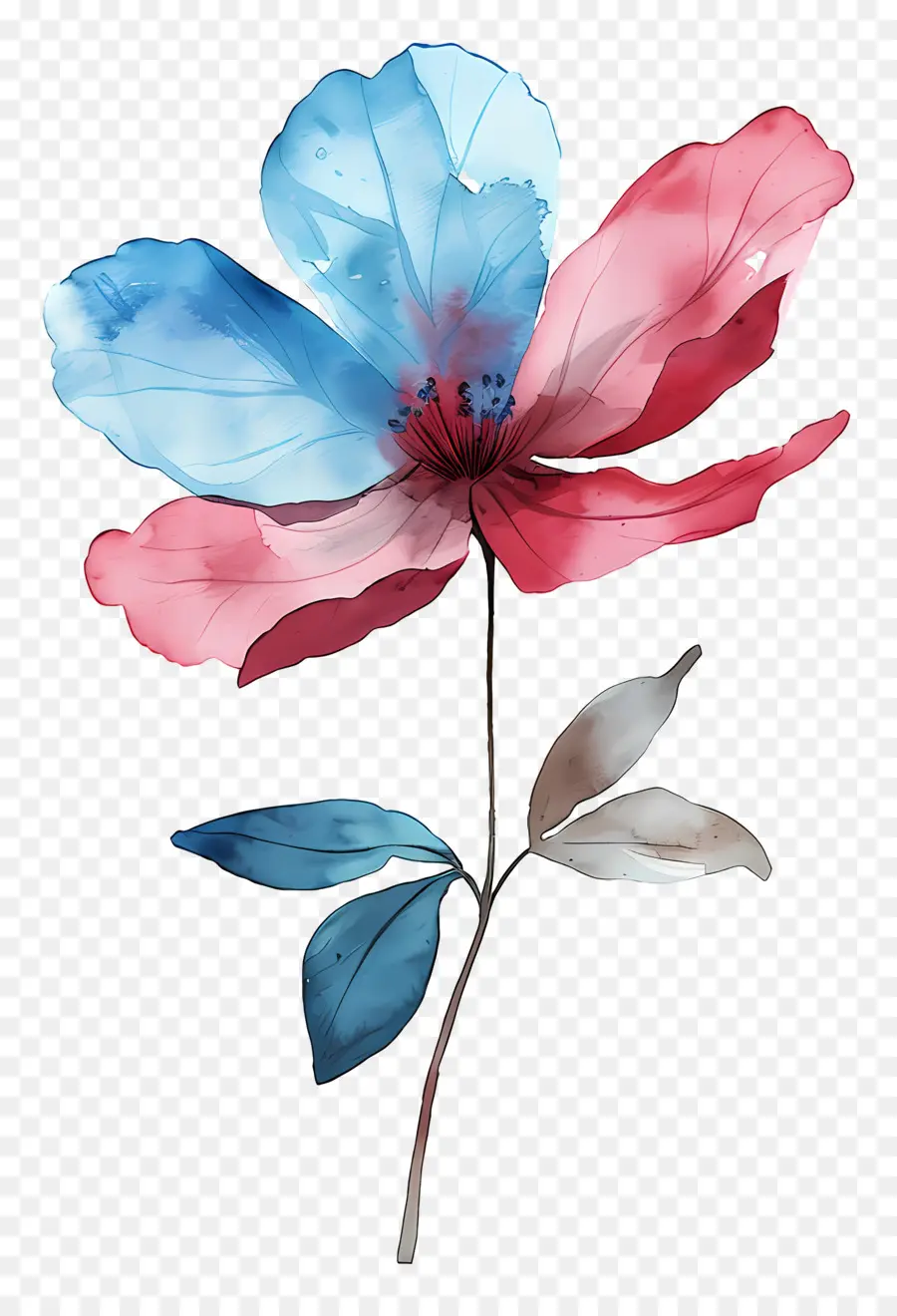 ดอกไม้สี，สีวาดรูป PNG