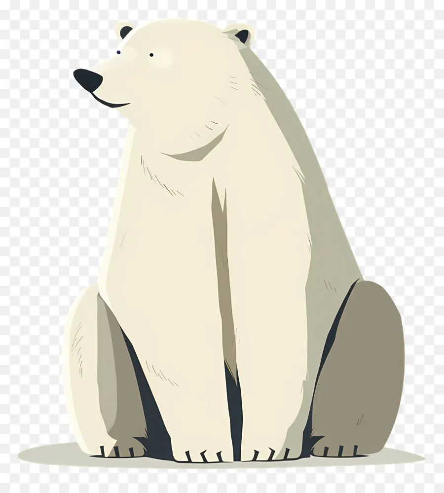 หมี，หมีขั้ว PNG