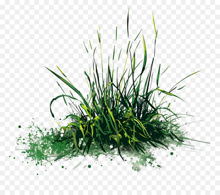 หญ้าสีเขียว，หญ้า PNG