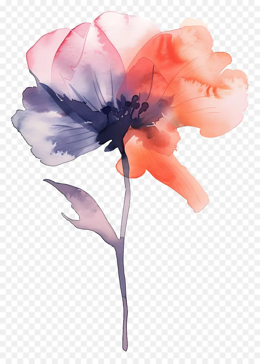 ดอกไม้สี，ภาพวาดดอกไม้ PNG