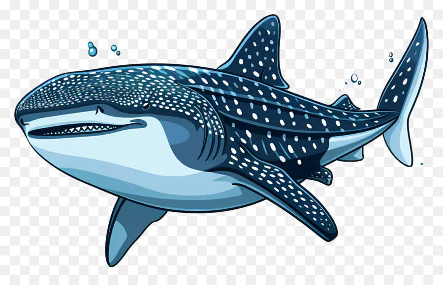วาฬฉลาม，ตูน PNG