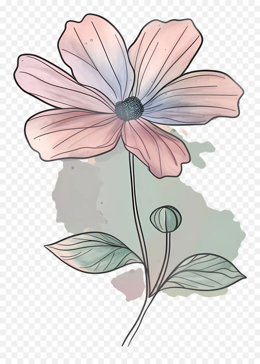 Doodle ดอกไม้，ดอกไม้สีชมพู PNG