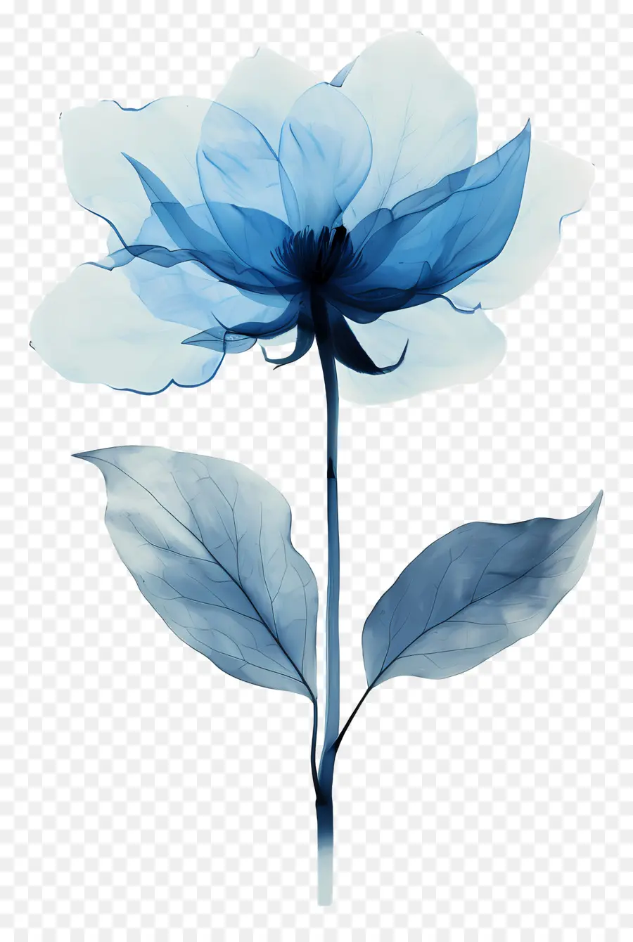 สีน้ำเงินดอกไม้，ดอกไม้ PNG