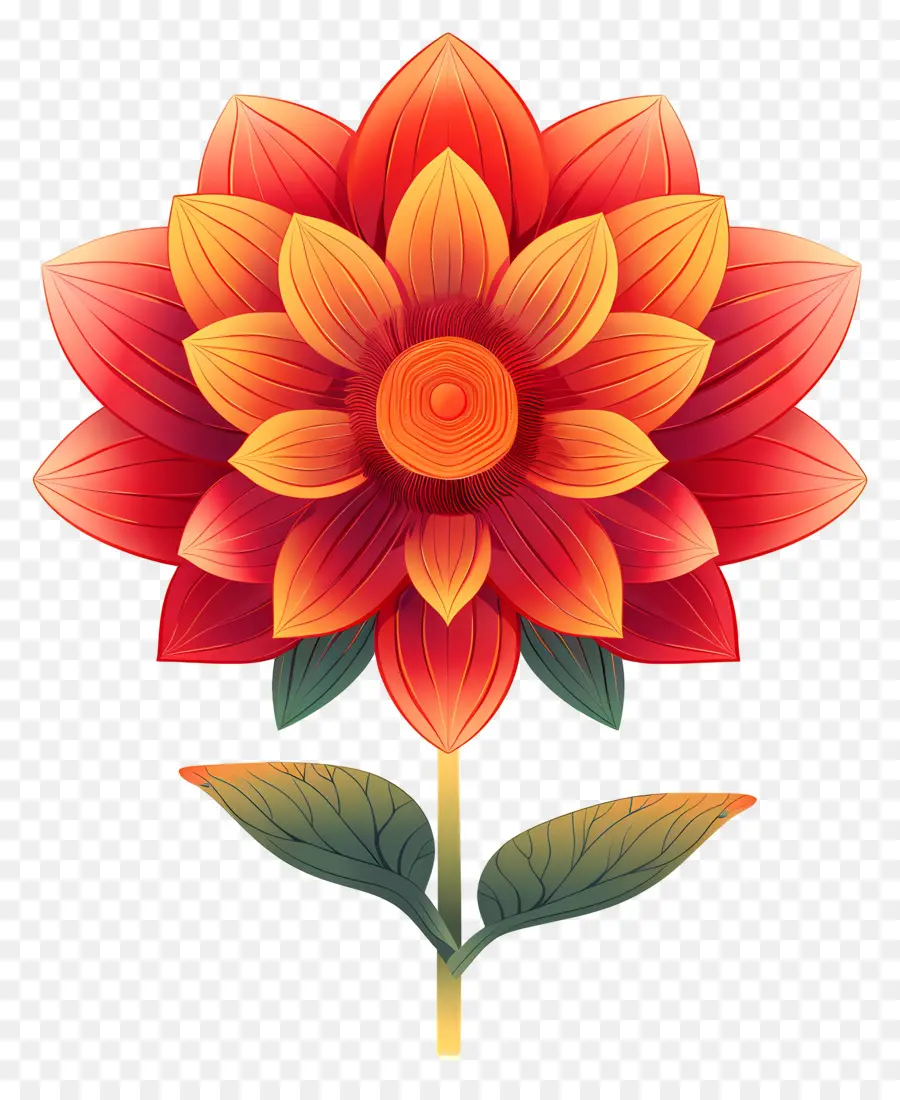 Onam Flower，ดอกไม้ PNG