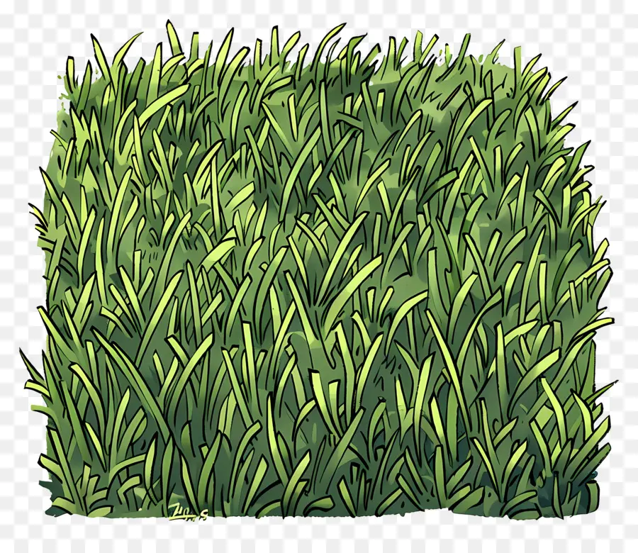 สนามหญ้า，หญ้าสีเขียว PNG