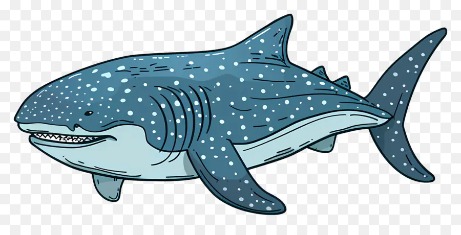 วาฬฉลาม，อันฉลาม PNG
