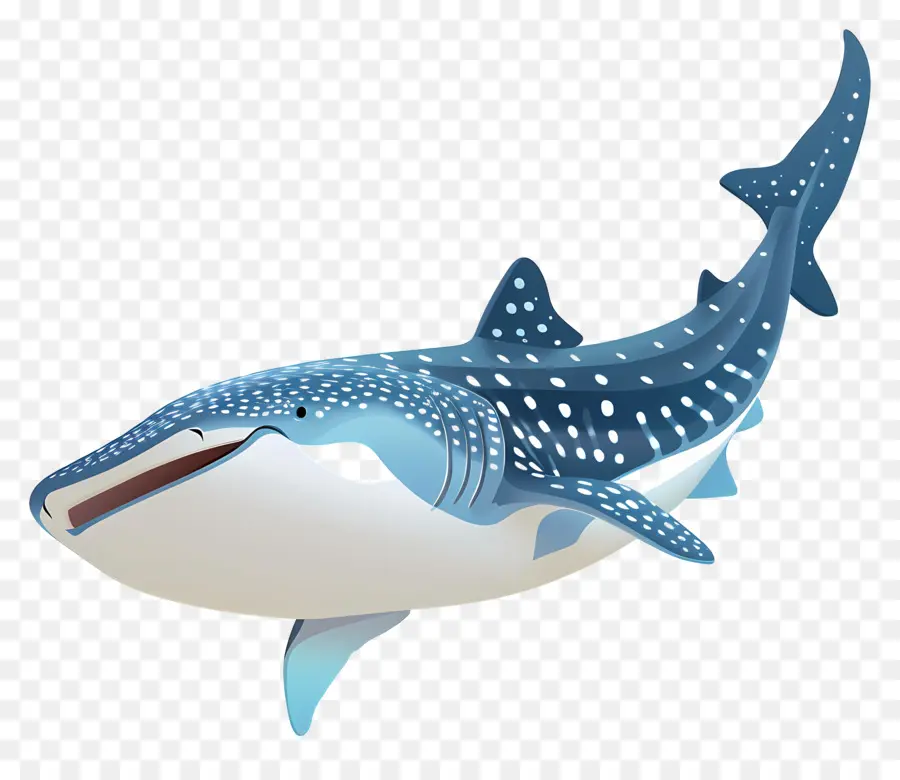 วาฬฉลาม，นาวิกโยธินชีวิต PNG
