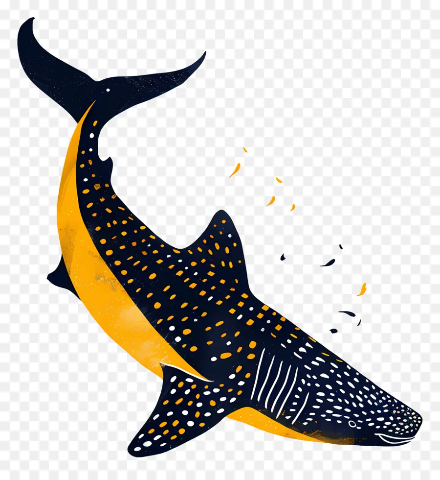 วาฬฉลาม，ฉลาม PNG