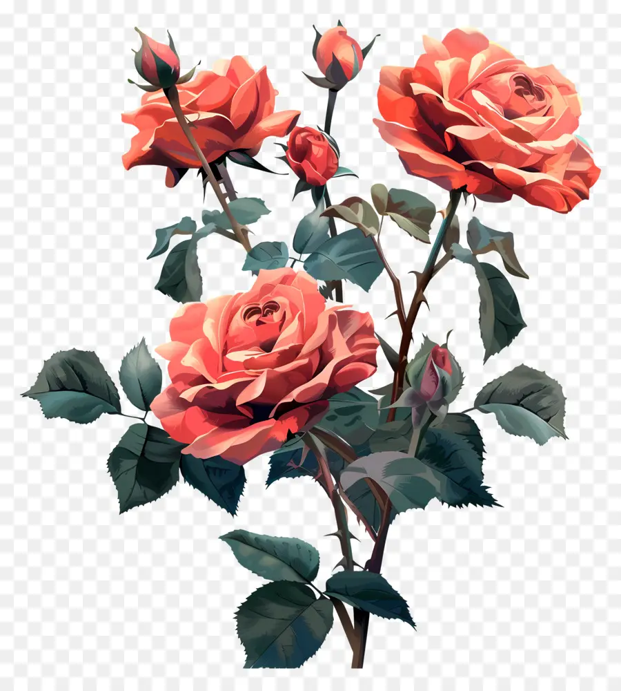 ดอกกุหลาบสวน，บดอกกุหลาบสีชมพู PNG