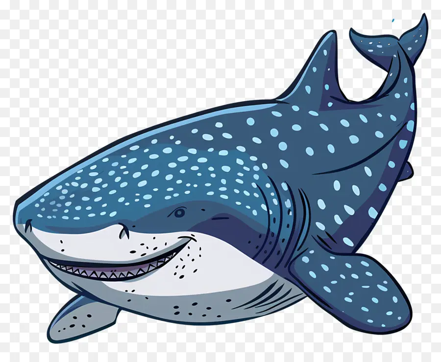วาฬฉลาม，เพื่อฉลาม PNG
