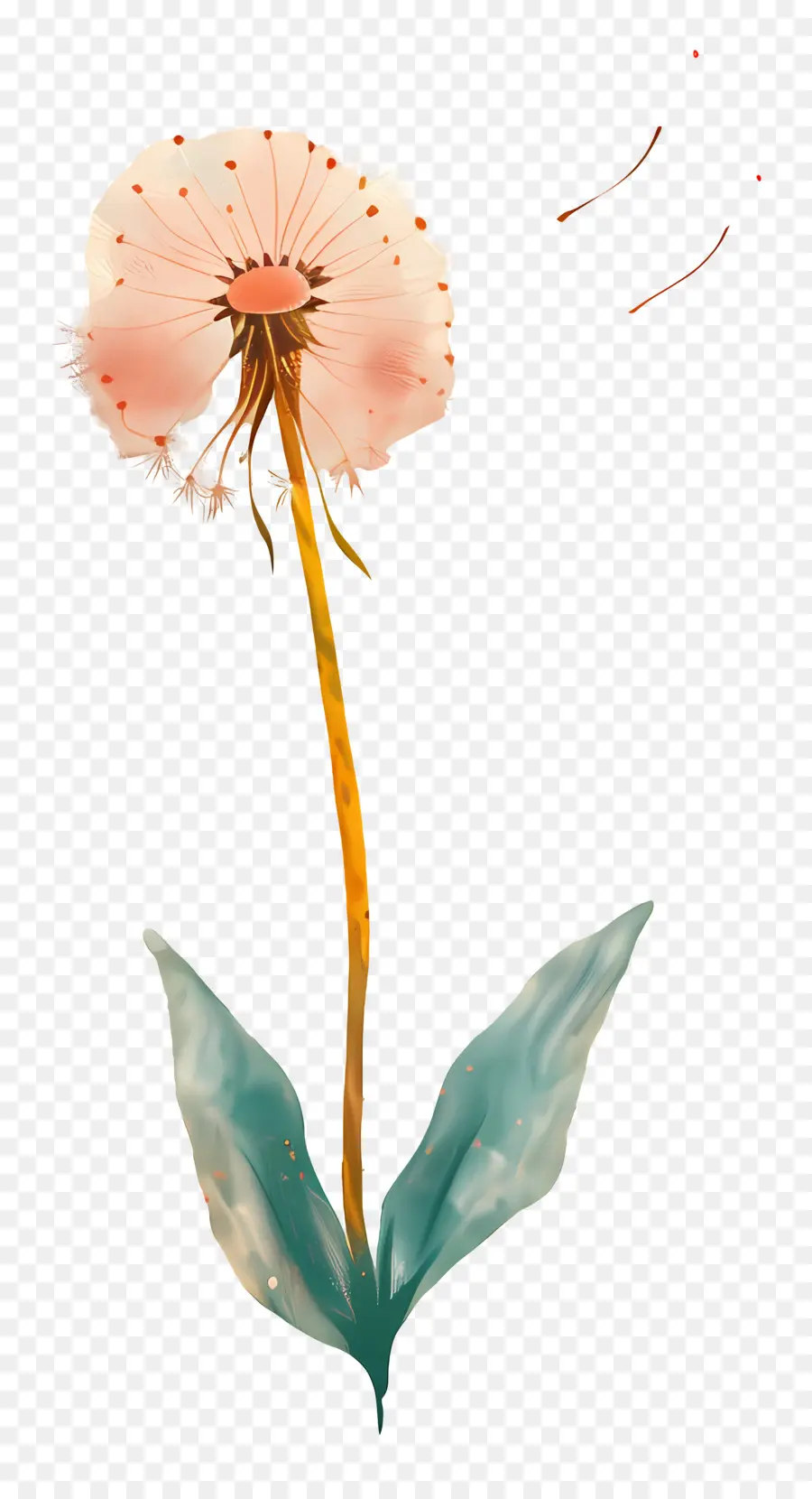 เขี้ยวของสิงห์โตขนนก，ดอกไม้สีชมพู PNG