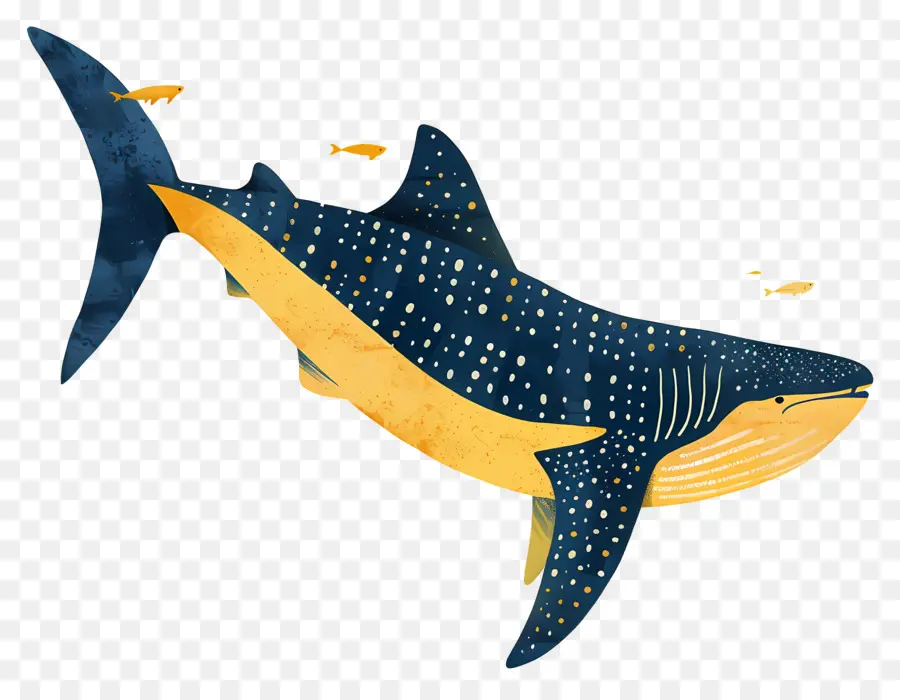 วาฬฉลาม，วาฬ PNG