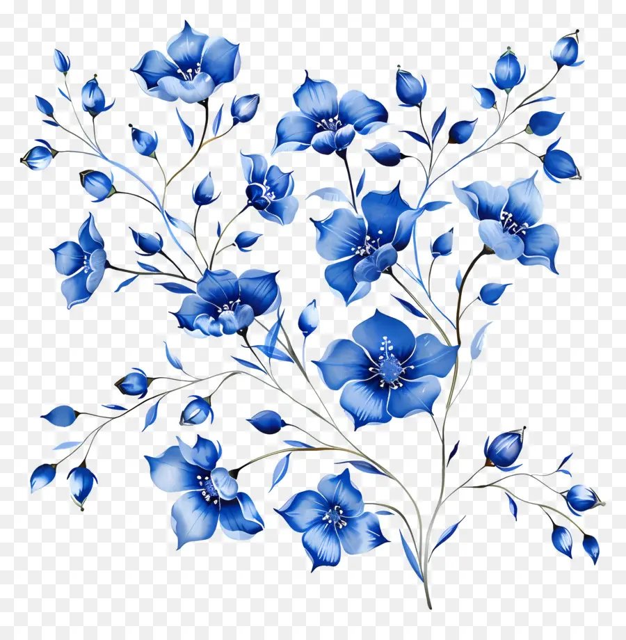 สีน้ำเงินดอกไม้，ดอกไม้ห้าม PNG