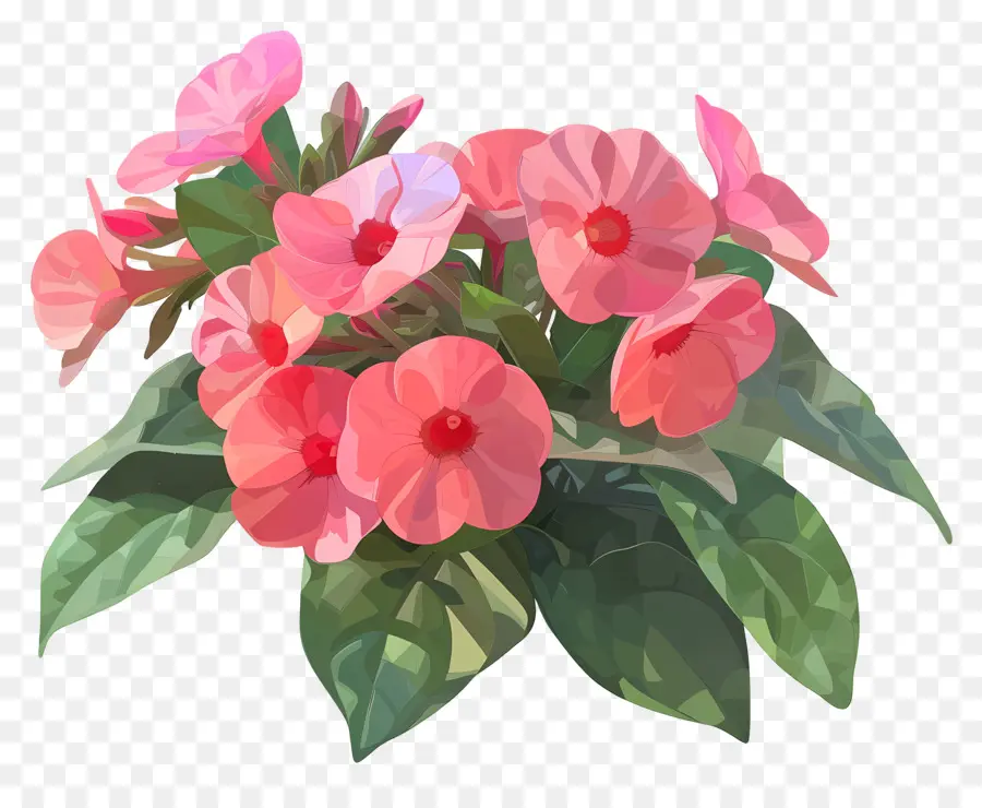 ศิลปะดอกไม้ดิจิตอล，ดอกไม้ Gerbera สีชมพู PNG