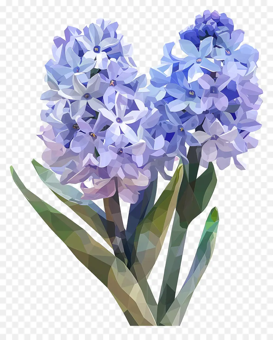 ดิจิตอลดอกไม้，ผักตบชวาสีฟ้า PNG