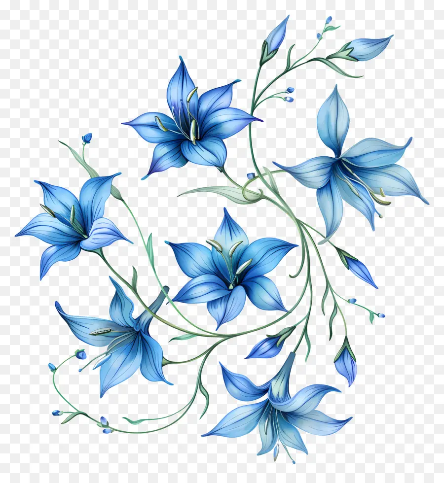 สีน้ำเงินดอกไม้，ดอกไม้ห้าม PNG