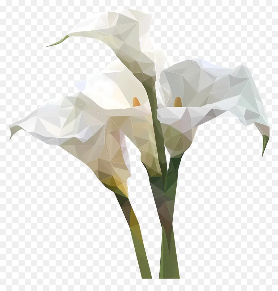 ศิลปะดิจิทัล，Calla Lilies PNG