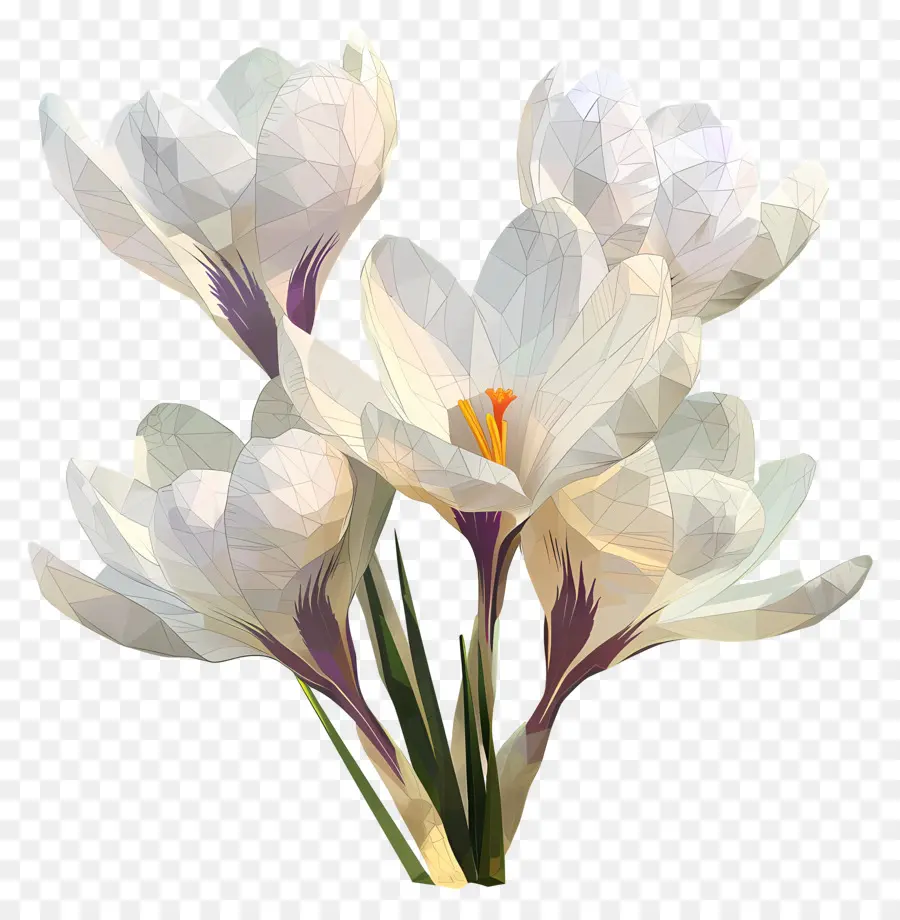ดิจิตอลดอกไม้，Crocuses สีขาว PNG