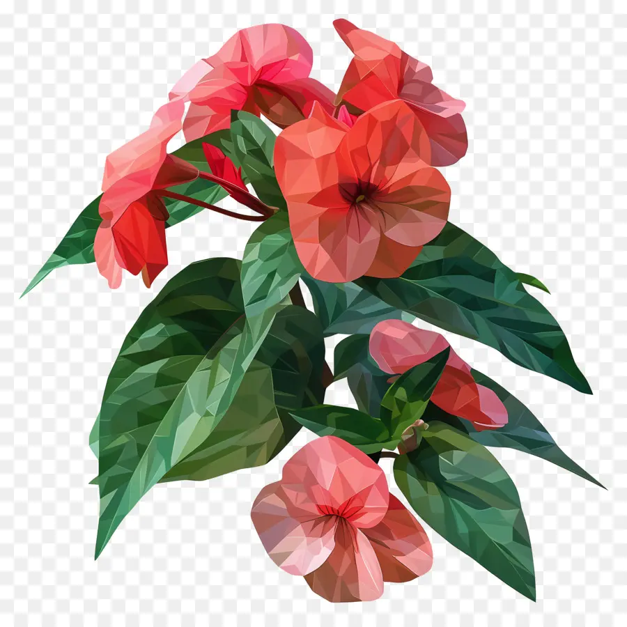 ศิลปะดอกไม้ดิจิตอล，ดอกไม้สีชมพู PNG