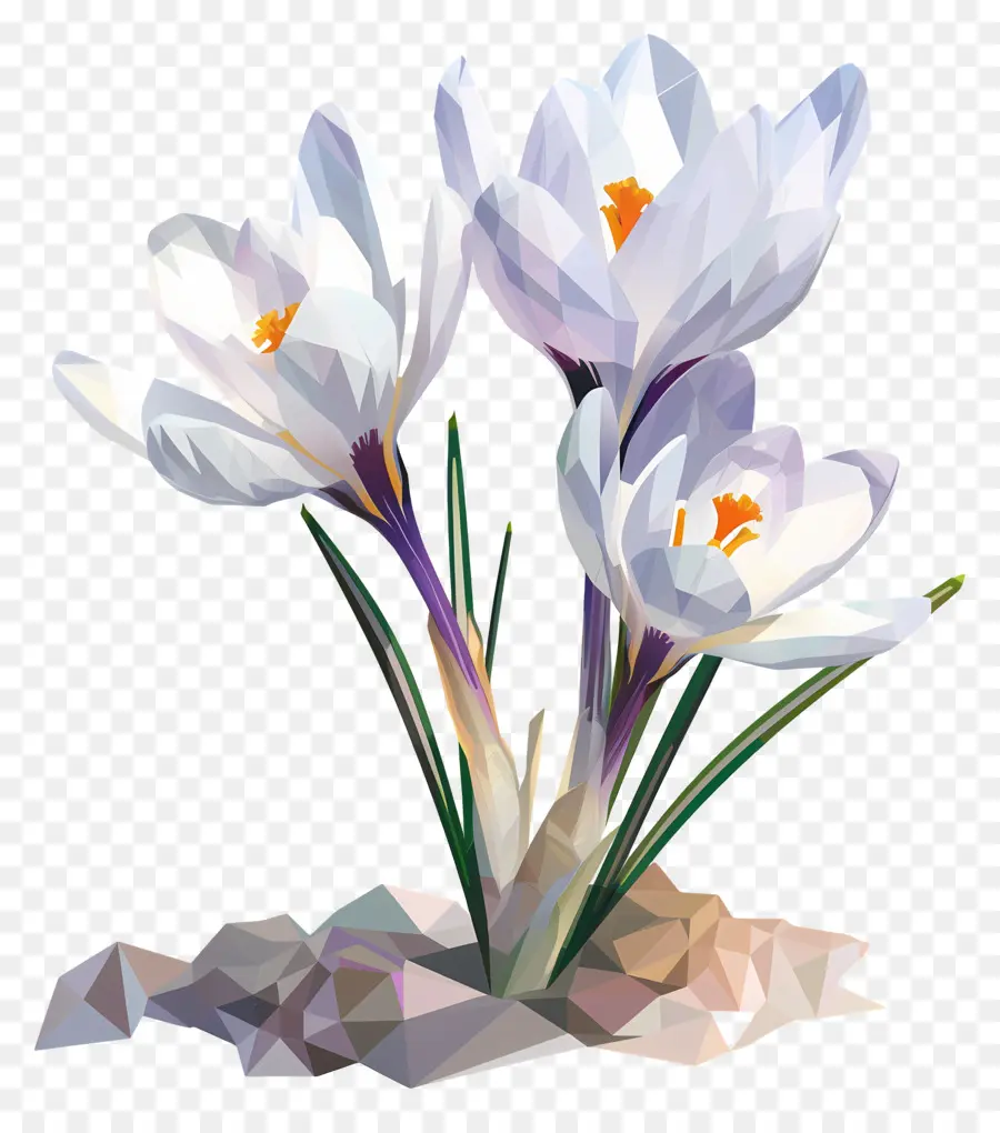 ดิจิตอลดอกไม้，สีขาว Crocus PNG