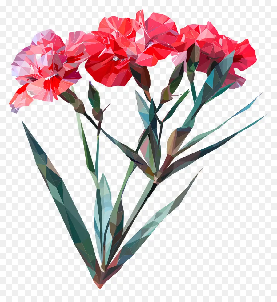 ดิจิตอลดอกไม้，สีแดง Carnations PNG